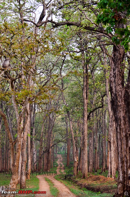 Wanderlust Traveler: Jungle lodges @ Kabini and Nagarahole National Park-suh_5742.jpg