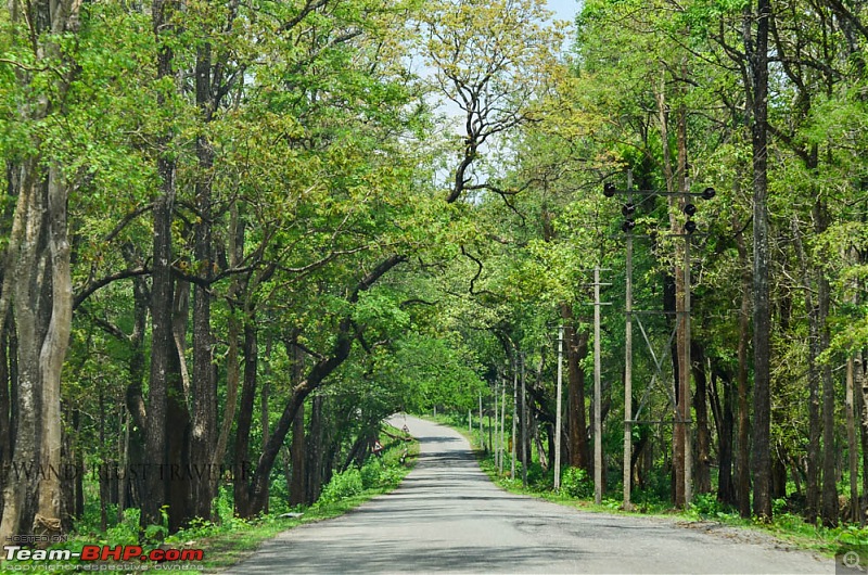 Wanderlust Traveler: Jungle lodges @ Kabini and Nagarahole National Park-suh_5860.jpg