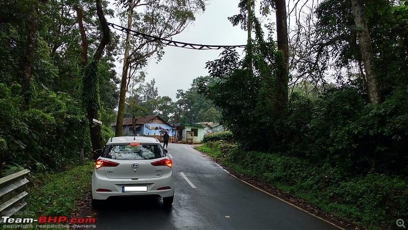 Misty tea plantations : Valparai Photologue-bridge-lion-monkey-crossingminmin.jpg