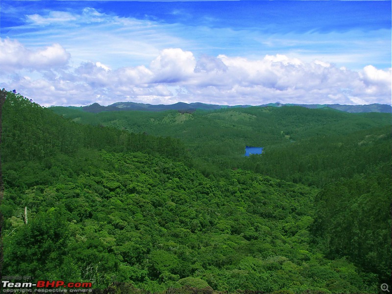 Kodai and Munnar in the First Rains...-k4.jpg