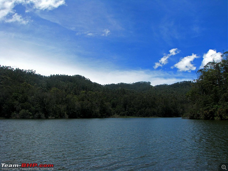 Kodai and Munnar in the First Rains...-k5.jpg