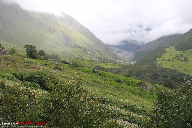 Trek to the Valley of Flowers-img_5921min.jpg