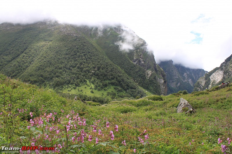 Trek to the Valley of Flowers-img_6034.jpg