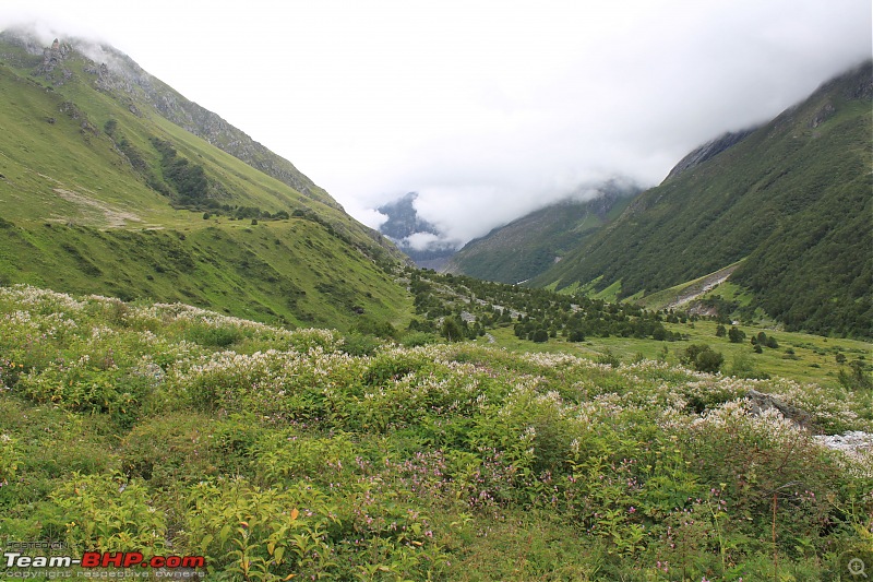 Trek to the Valley of Flowers-img_6051min.jpg