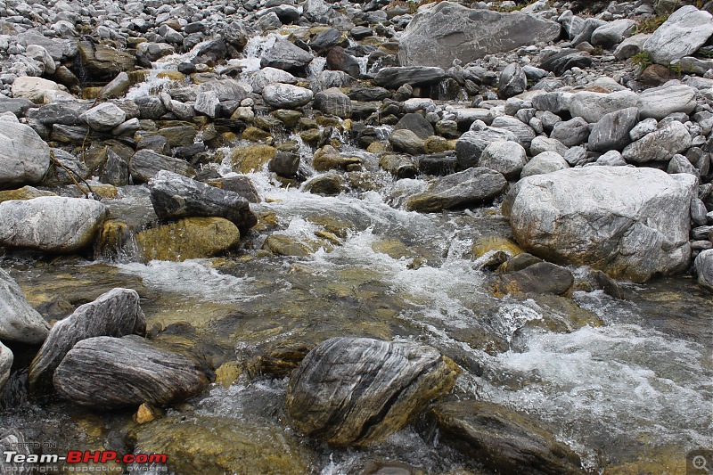 Trek to the Valley of Flowers-img_6063min.jpg