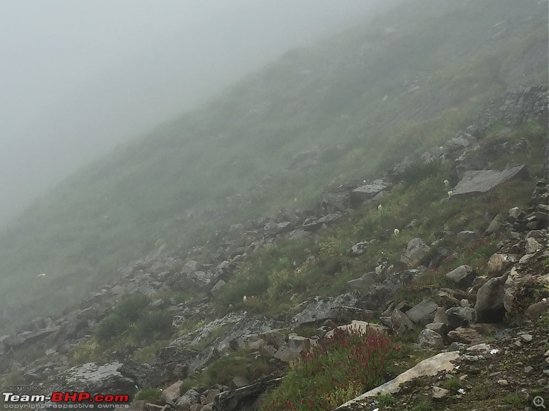 Trek to the Valley of Flowers-img_6079.jpg