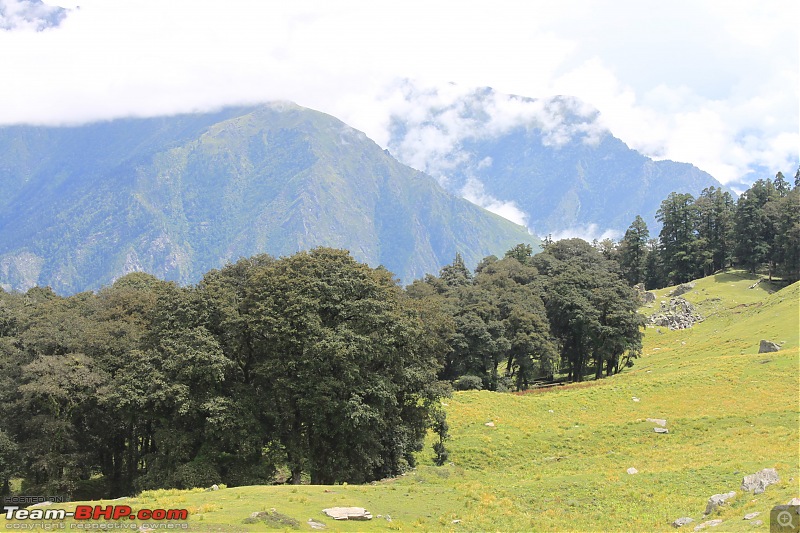 Trek to the Valley of Flowers-img_6341min.jpg