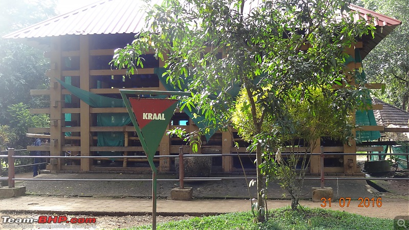 A visit to the Elephant Shelter & Rehabilitation Center in Konni, Kerala-dsc01489.jpg