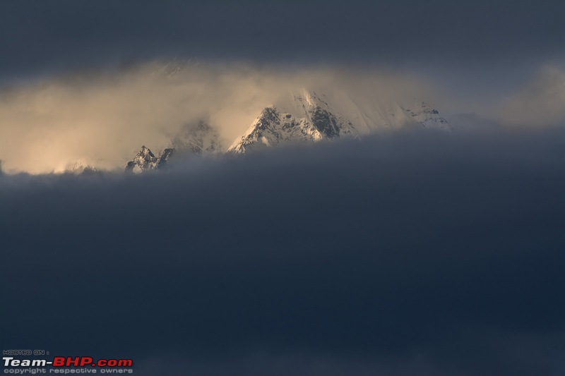 A Magical Afternoon: Munsiyari Bugyal-dsc_2948.jpg