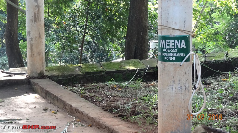 A visit to the Elephant Shelter & Rehabilitation Center in Konni, Kerala-dsc01529.jpg