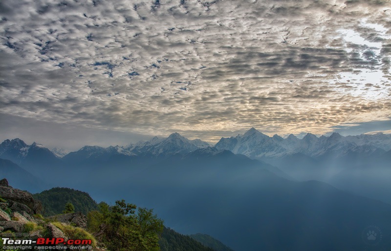 A Magical Afternoon: Munsiyari Bugyal-dsc_3081.jpg