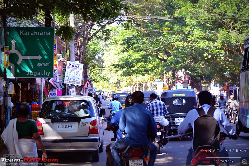 Tour de Kerala: A 5-day holiday-dsc_2930.jpg