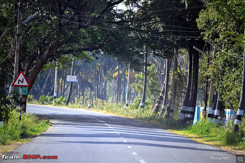 Tour de Kerala: A 5-day holiday-dsc_3280.jpg