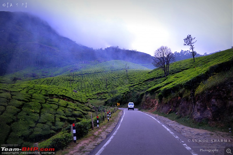 Tour de Kerala: A 5-day holiday-dsc_3769.jpg