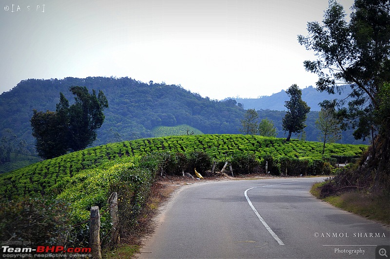 Tour de Kerala: A 5-day holiday-dsc_3875.jpg