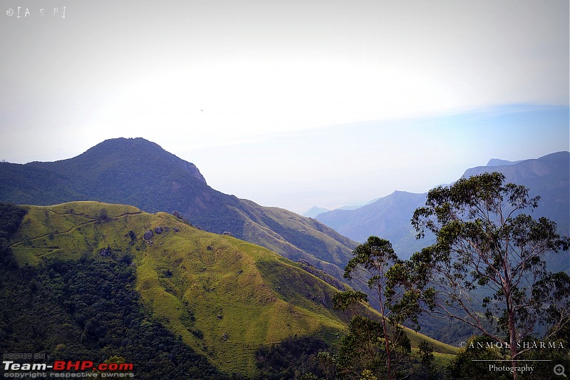 Tour de Kerala: A 5-day holiday-dsc_3890.jpg