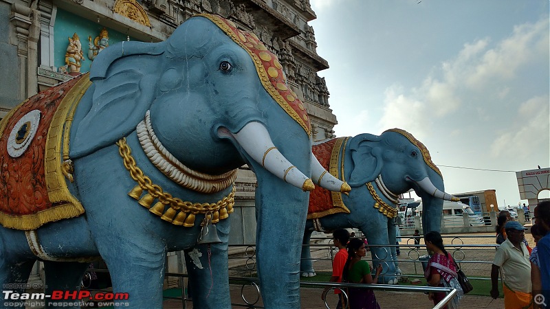 Road-Trip through West Karnataka-elephants-murudeshwar.jpg