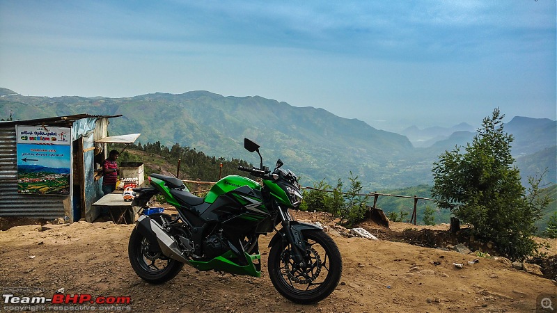 In nature's cradle - Kawasaki chronicles-tea-backdrop.jpg