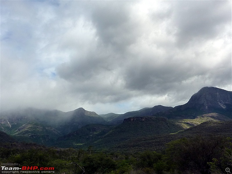 'Xing'ing around ! - Trekking in the Chinnar Wildlife Sanctuary, Thoovanam Waterfalls-24.jpg