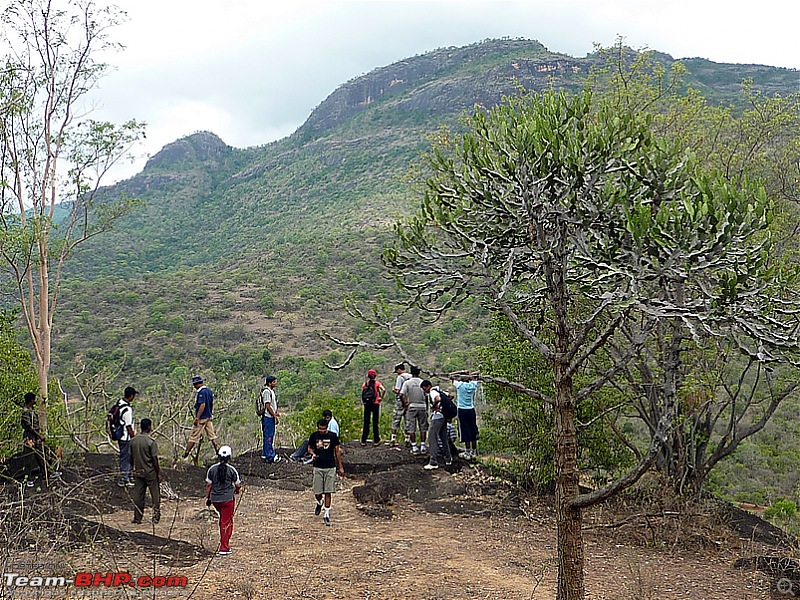 'Xing'ing around ! - Trekking in the Chinnar Wildlife Sanctuary, Thoovanam Waterfalls-32.jpg