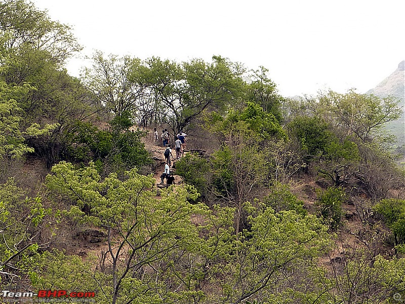 'Xing'ing around ! - Trekking in the Chinnar Wildlife Sanctuary, Thoovanam Waterfalls-34.jpg