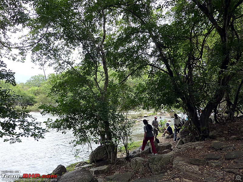 'Xing'ing around ! - Trekking in the Chinnar Wildlife Sanctuary, Thoovanam Waterfalls-37.jpg