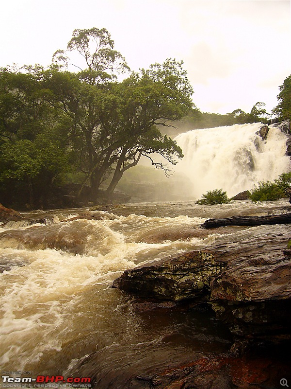 'Xing'ing around ! - Trekking in the Chinnar Wildlife Sanctuary, Thoovanam Waterfalls-115.jpg