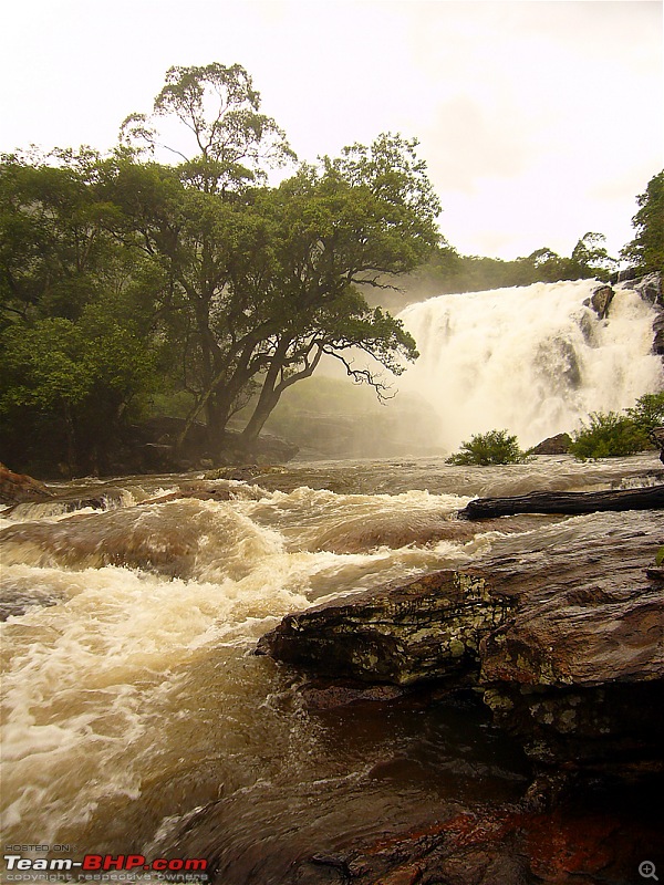 'Xing'ing around ! - Trekking in the Chinnar Wildlife Sanctuary, Thoovanam Waterfalls-115.jpg