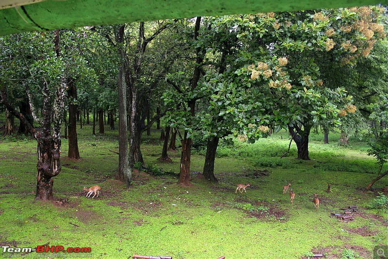 Hyd-Bandipur-Madumalai-Nagarhole-room-view.jpg