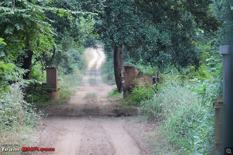 Mumbai to Ranthambore: Solo drive in an Isuzu D-Max V-Cross-drive-path.jpg