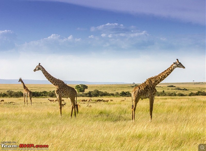 Road-tripping through the African Savanna : Maasai Mara & Zanzibar diaries-img_217332.jpg