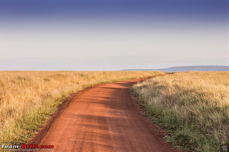 Road-tripping through the African Savanna : Maasai Mara & Zanzibar diaries-img_26242.jpg