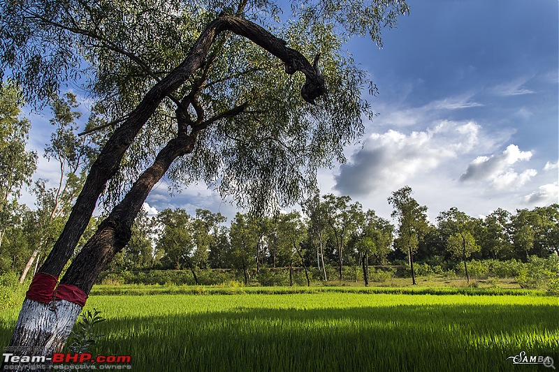 West Bengal - A treasure for tourists-img_0762.jpg