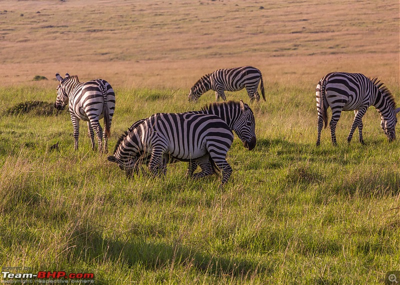 Road-tripping through the African Savanna : Maasai Mara & Zanzibar diaries-img_35282.jpg