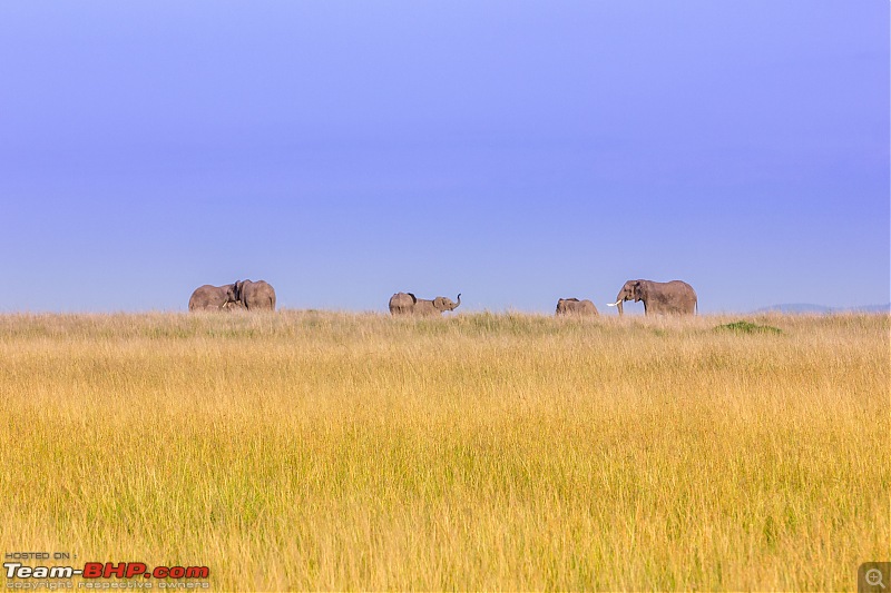 Road-tripping through the African Savanna : Maasai Mara & Zanzibar diaries-img_26572.jpg
