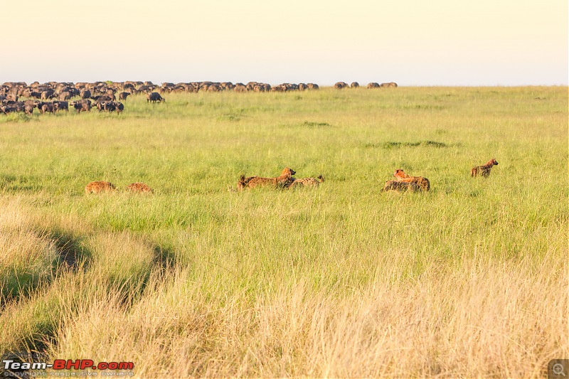 Road-tripping through the African Savanna : Maasai Mara & Zanzibar diaries-img_27462.jpg