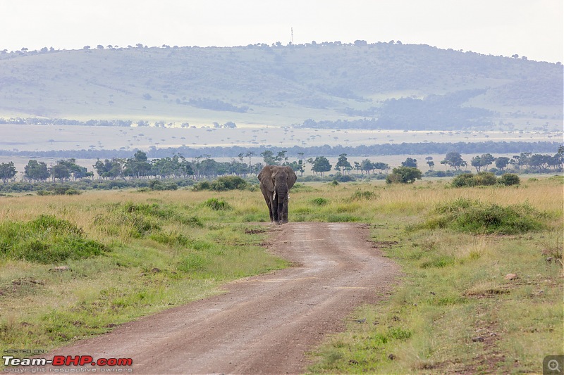 Road-tripping through the African Savanna : Maasai Mara & Zanzibar diaries-img_31062.jpg
