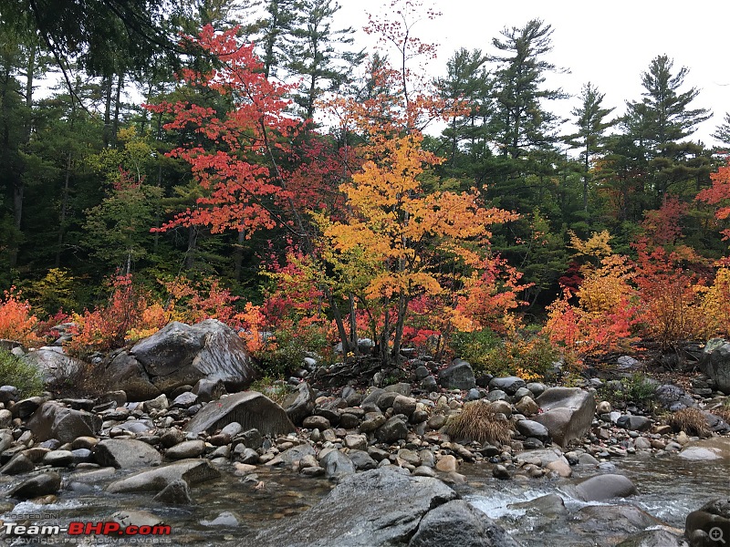 USA: New England at its colourful best-img_3663.jpg