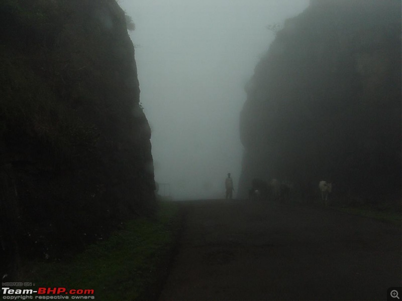 Monsoon masti: Malshej ghat, Jivdhan fort and Naneghat.-9.jpg