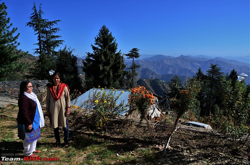 Chal Chal Himachal : Sailed through Kinnaur in a hatchback, sedan, CUV and Thar-dsc_6522.jpg