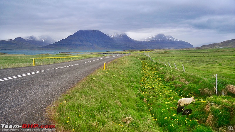 A Roadtrip in Iceland - 66°N-road_7.jpg