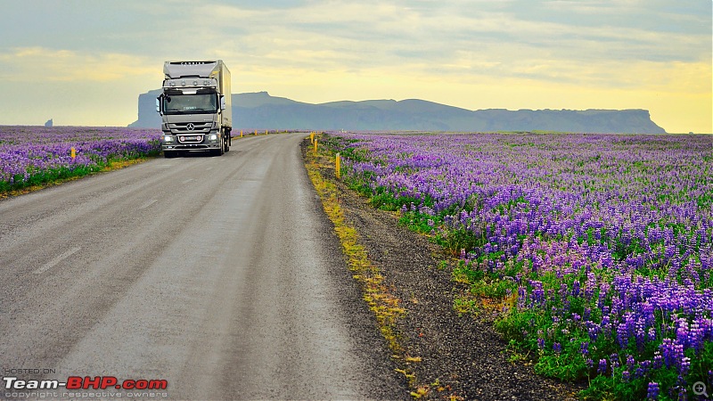 A Roadtrip in Iceland - 66N-road_10.jpg