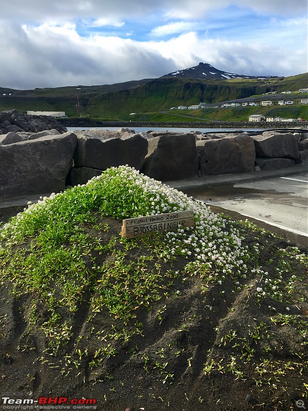 A Roadtrip in Iceland - 66°N-20.-grave.jpg