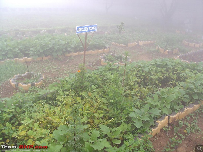 Monsoon masti: Malshej ghat, Jivdhan fort and Naneghat.-28.jpg