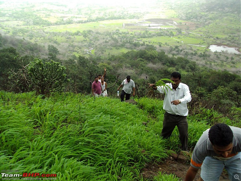 Monsoon masti: Malshej ghat, Jivdhan fort and Naneghat.-h-202.jpg