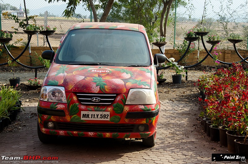 Dizzy Drive: Bangalore - Mahabaleshwar - Kaas - Bamnoli in 4 days (1,700 km)-tkd_8193.jpg