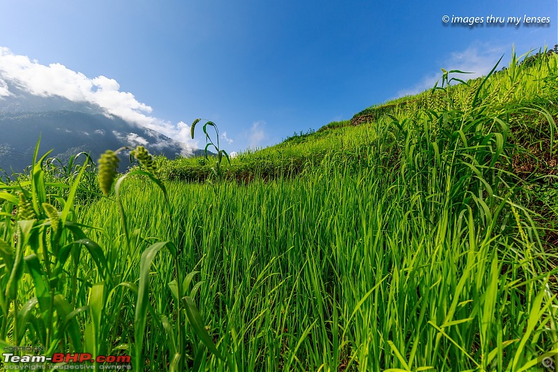 The Mandini Valley, Garhwal Mountains & Monsoons-mandini-trek-21.jpg