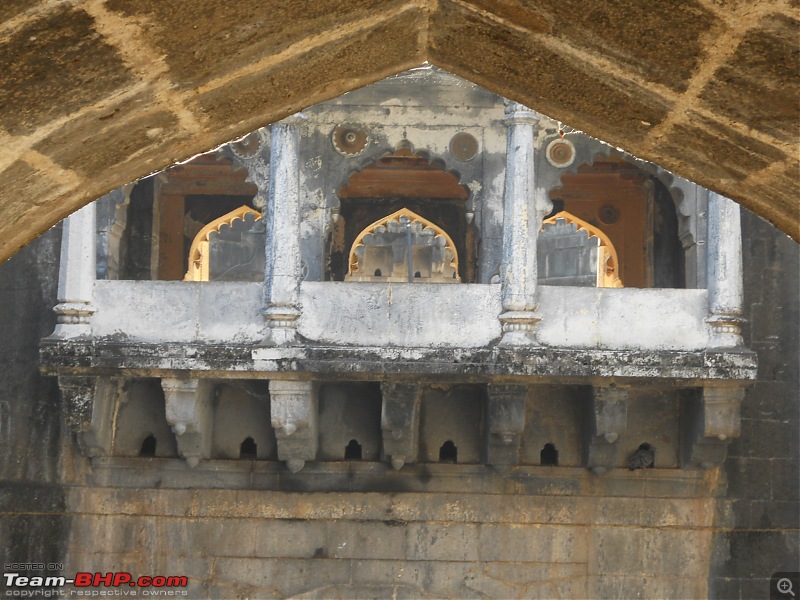 A day-trip: Baramotichi Vihir, Kaas Lake & Shivsagar Lake, Bamnoli-18-close-up-rea-viewing-gallery.jpg