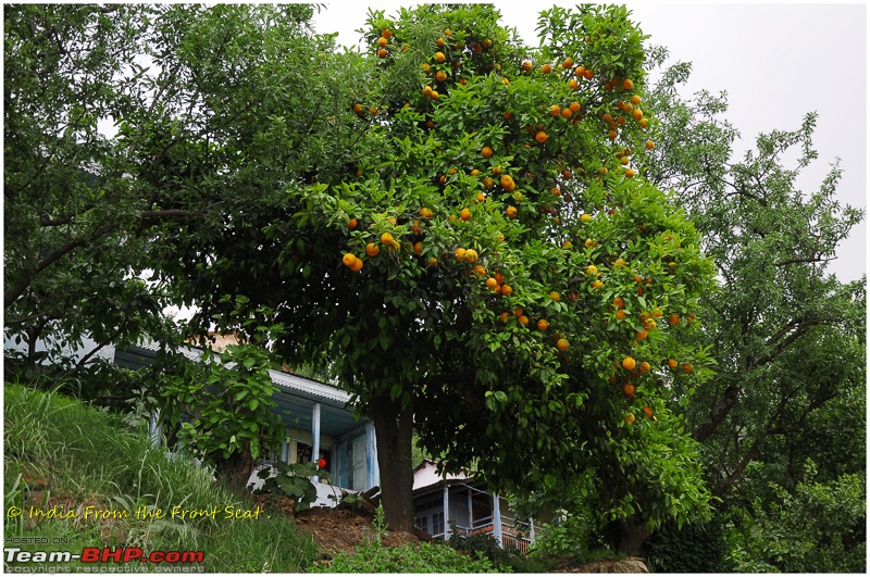 Himachal Pradesh: Summer Holidays on the hills, exploring touristy spots & some hidden gems-dsc_7843edit.jpg