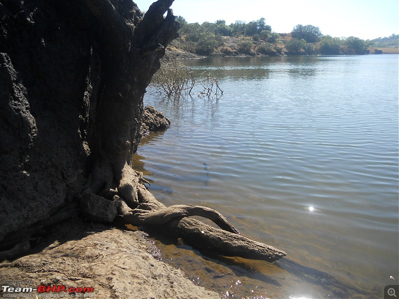 A day-trip: Baramotichi Vihir, Kaas Lake & Shivsagar Lake, Bamnoli-dscn6447.jpg